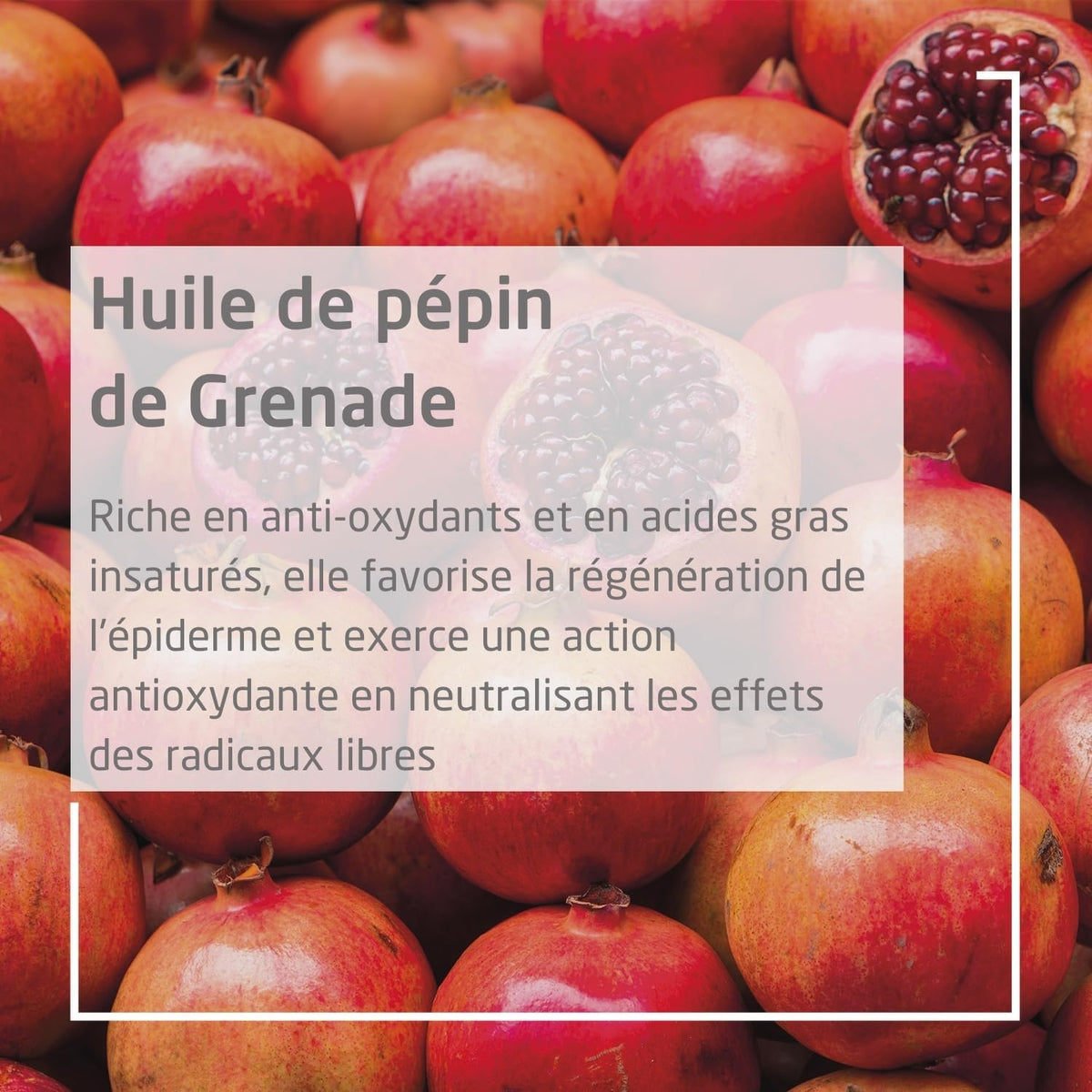 WELEDA - Huile régénatrice à la Grenade - Raffermit et régénère - Soin corporel antioxydant, active le renouvellement cellulaire et retarde les manifestations du vieillissement - NATRUE* - Vegan*** - 100 ml