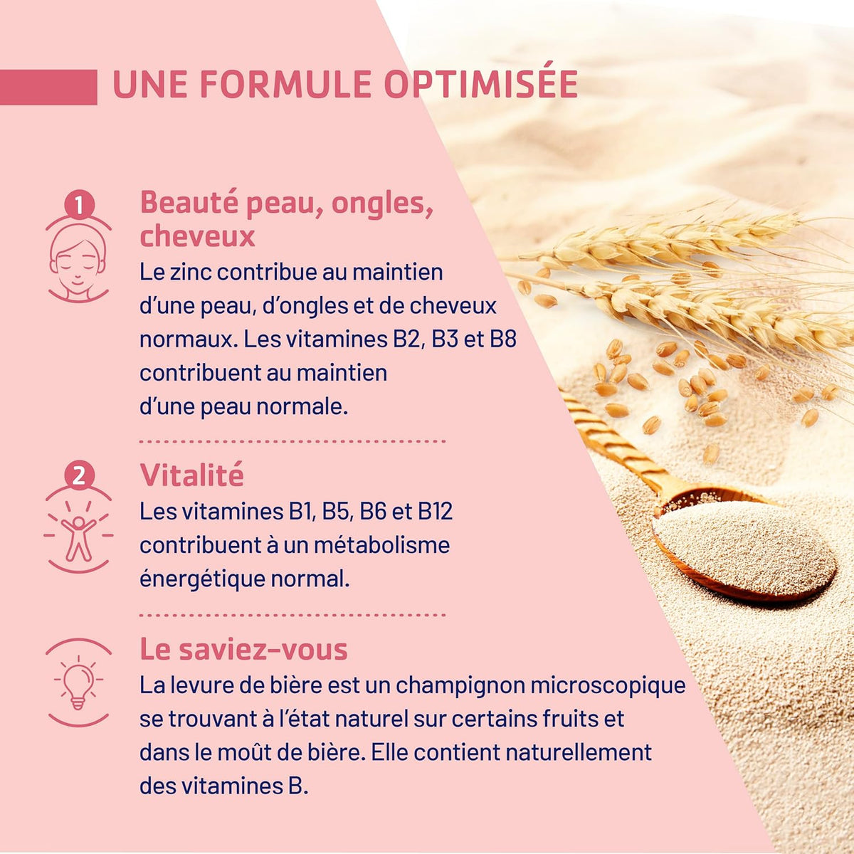 JUVAMINE Levure de Bière, Beauté de la peau, des cheveux et des ongles, Vitalité, Vitamines B1, B2, B3, B5, B6, B8, B9 et B12 + Zinc, Programme de 50 jours, Fabriqué en France
