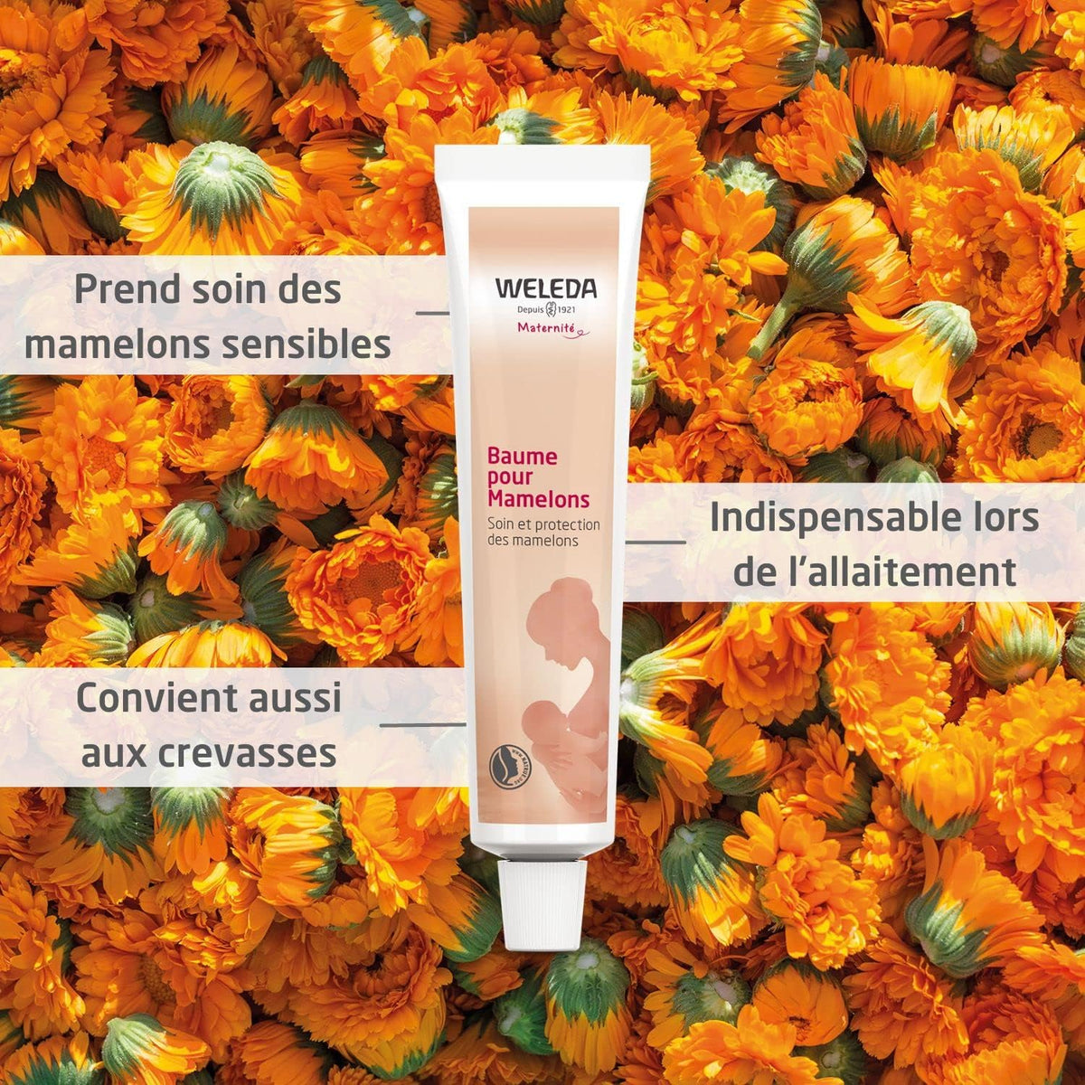 WELEDA - Baume pour Mamelons - Pour allaiter en toute sérénité - Pour les femmes allaitantes - NATRUE* - Vegan*** - 25 g