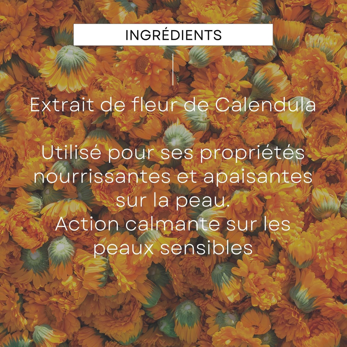 WELEDA - Baume pour Mamelons - Pour allaiter en toute sérénité - Pour les femmes allaitantes - NATRUE* - Vegan*** - 25 g