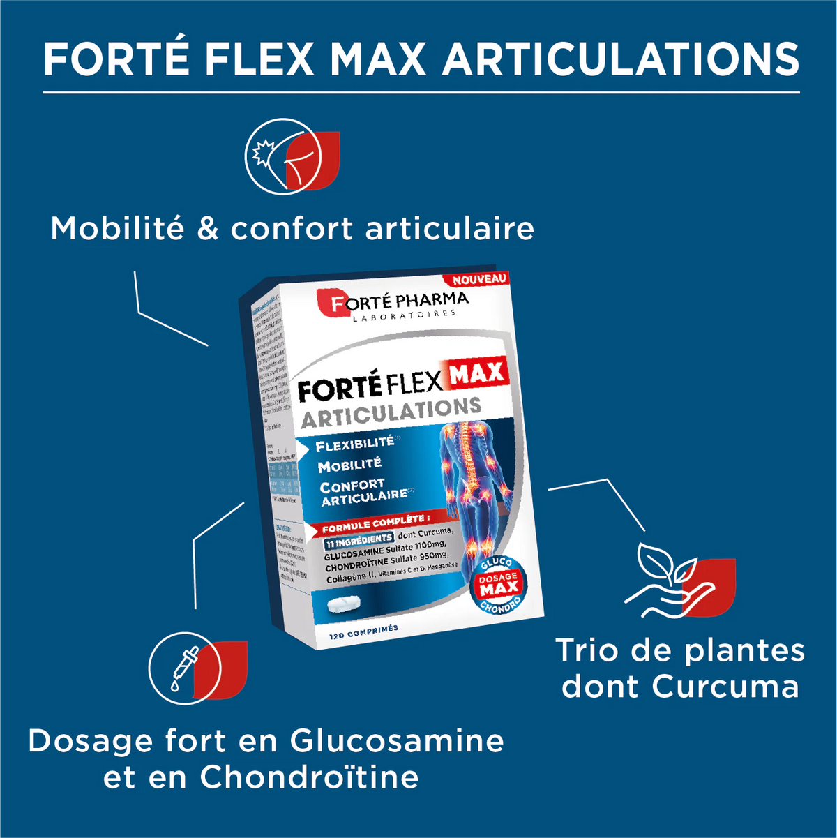 Forté Pharma Forté Flex Max Articulations - 120 Comprimés