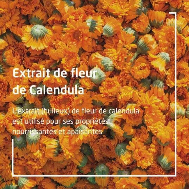 Weleda Lait Corporel Calendula - 200 ml