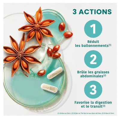 Santarome Ventre Plat Bio - 30 Gélules