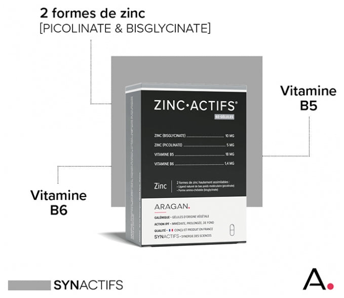 Aragan Synactifs ZincActifs® - Immunité & Peau - Zinc Vitamines B5 et B6 - 60 Gélules